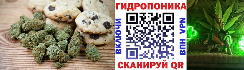 где купить наркотик  Волгоград  Cannafood марихуана 
