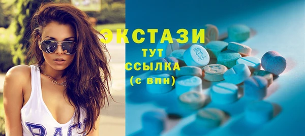 шишки Лабытнанги