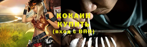 шишки Лабытнанги