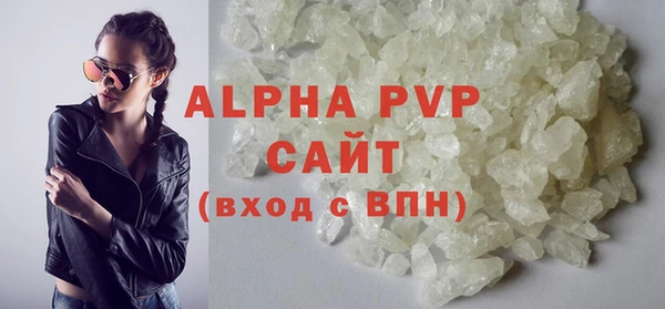 шишки Лабытнанги