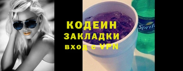 шишки Лабытнанги