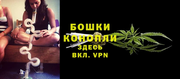 молекула духа Лагань
