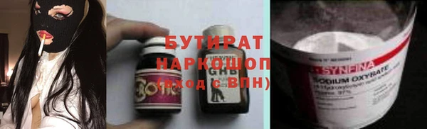 шишки Лабытнанги