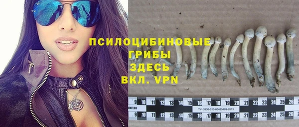 молекула духа Лагань
