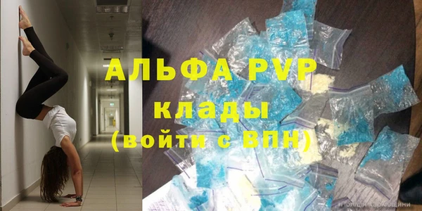 шишки Лабытнанги