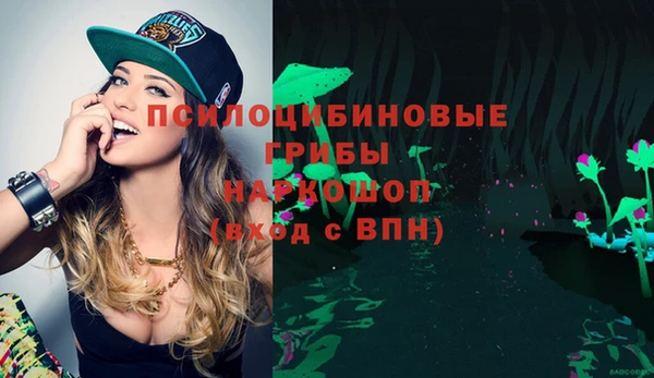 шишки Лабытнанги