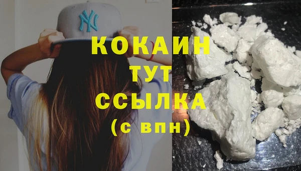 шишки Лабытнанги