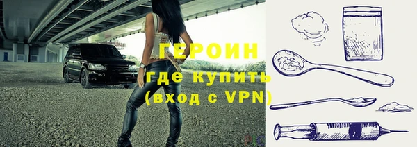 шишки Лабытнанги