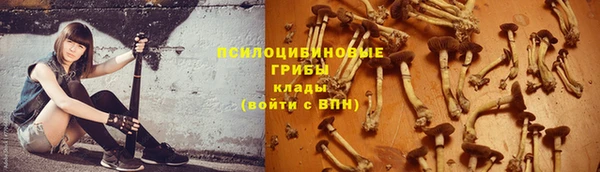 молекула духа Лагань