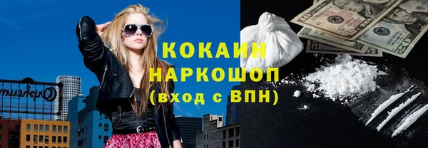 шишки Лабытнанги