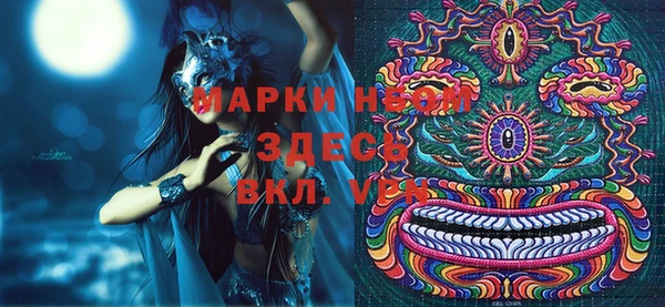 шишки Лабытнанги