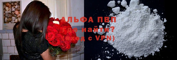 шишки Лабытнанги