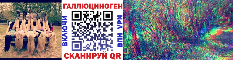 ссылка на мегу ссылки  Волгоград  Псилоцибиновые грибы Cubensis 